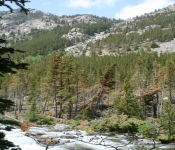 Montana2008 051
